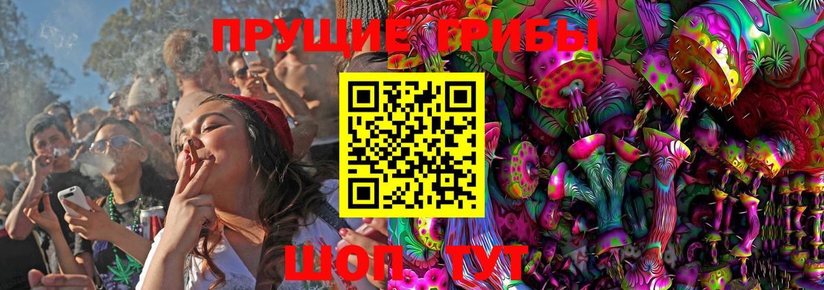 Асино  Псилоцибиновые грибы Psilocybe  Вход с VPN 