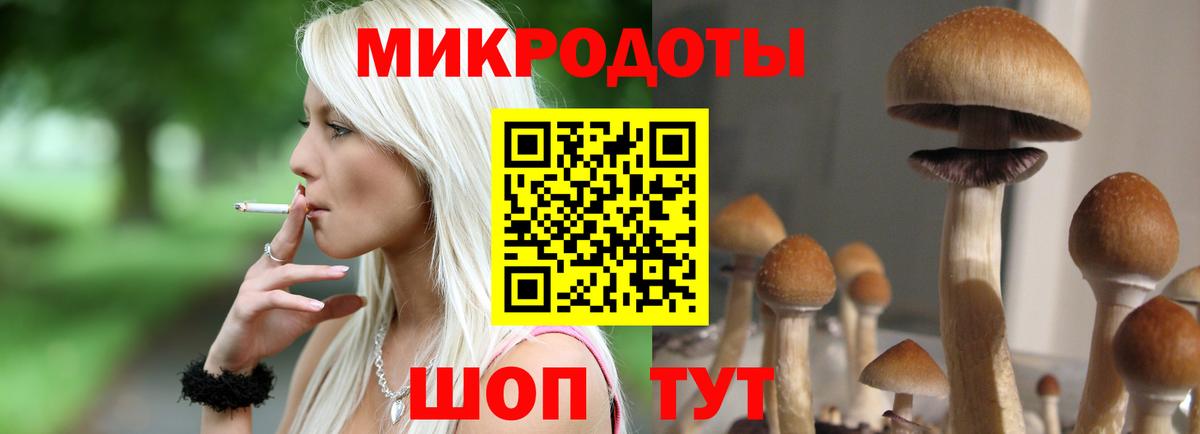 Галлюциногенные грибы мицелий Асино